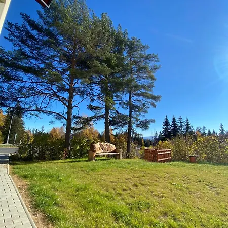 3 Sosny Tatranská Štrba