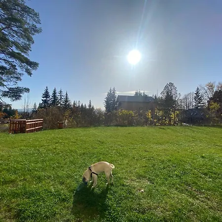 3 Sosny Διαμέρισμα