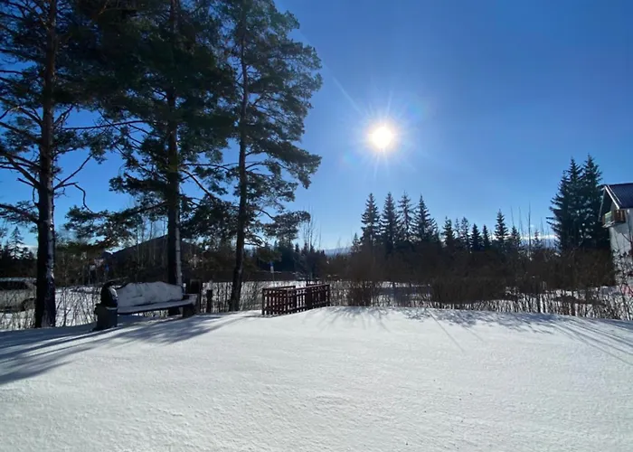 アパート 3 Sosny