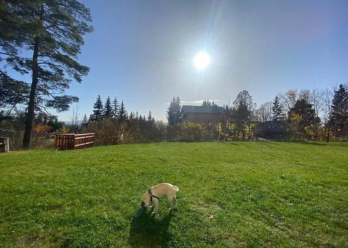 3 Sosny アパート