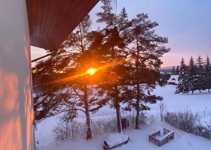 3 Sosny アパート